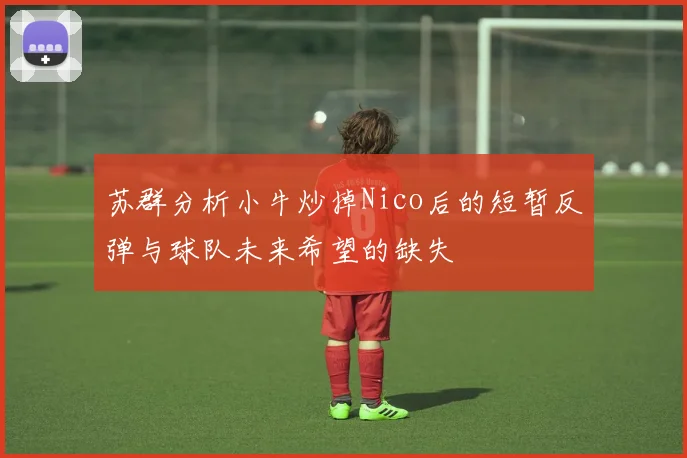 苏群分析小牛炒掉Nico后的短暂反弹与球队未来希望的缺失