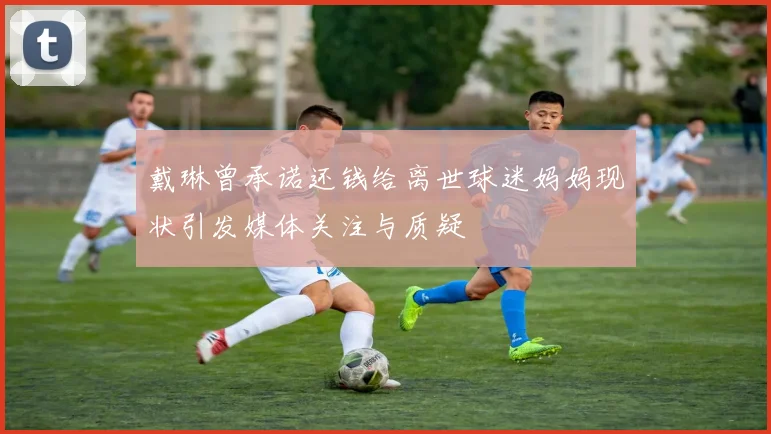 戴琳曾承诺还钱给离世球迷妈妈现状引发媒体关注与质疑