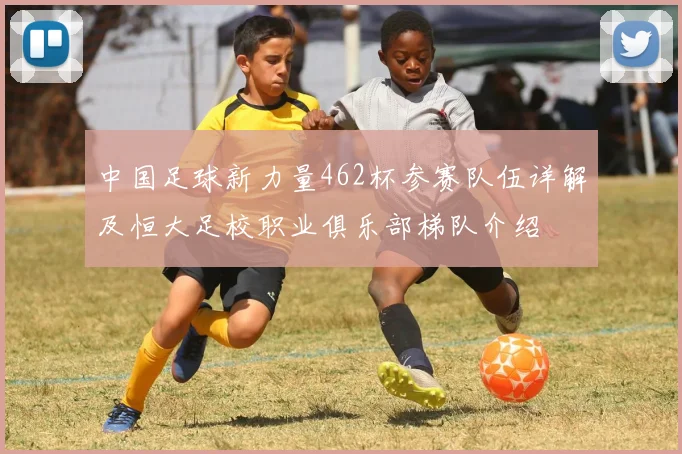 中国足球新力量462杯参赛队伍详解及恒大足校职业俱乐部梯队介绍